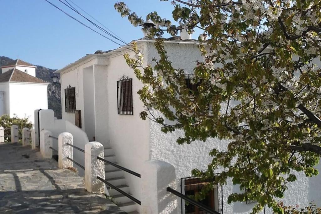 Apartment Casa Mirador Bubion, Large Terrace & Amazing Views