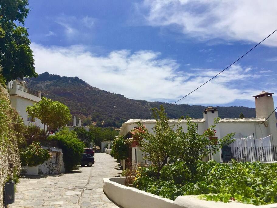 Casa Mirador Bubion, Large Terrace & Amazing Views Apartment *